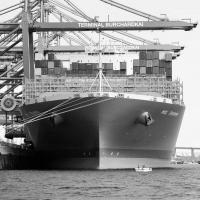 0339 Das Containerschiff MOL TRIUMPH liegt im Hafen Hamburgs. | 